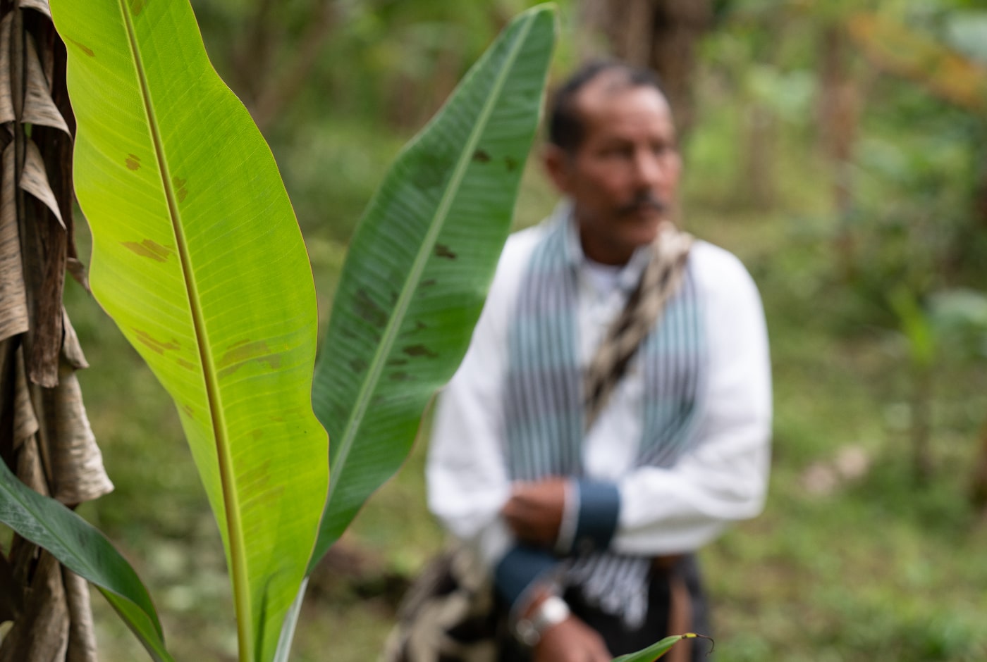 Colombia